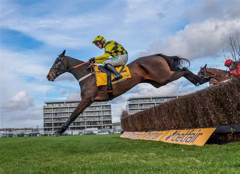 tote ten to follow jumps 2023/24|Shishkin shakes up the Ten to Follow pecking order as Estimate .